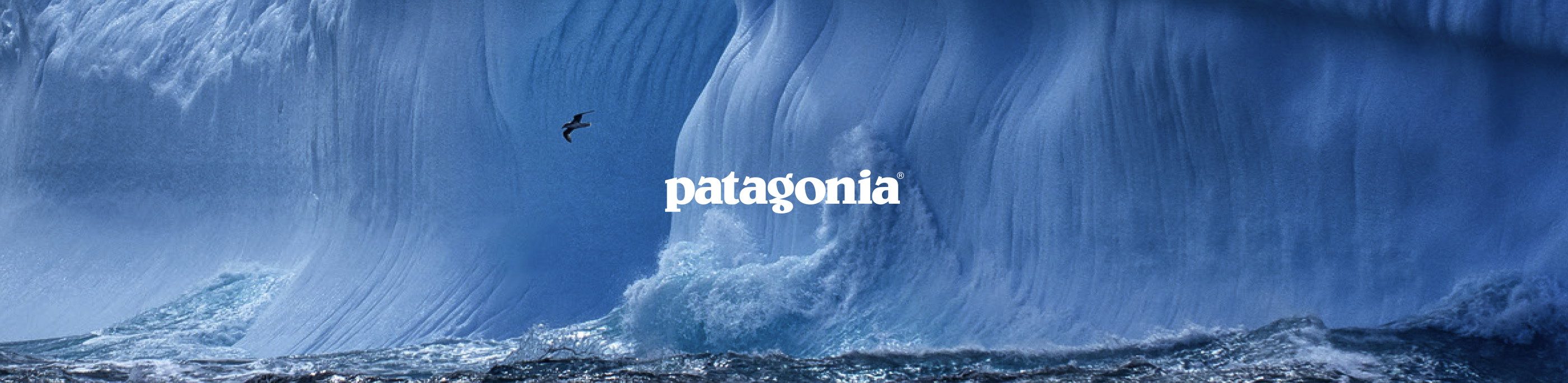 Blue waves with the Patagonia brand logo in the middle