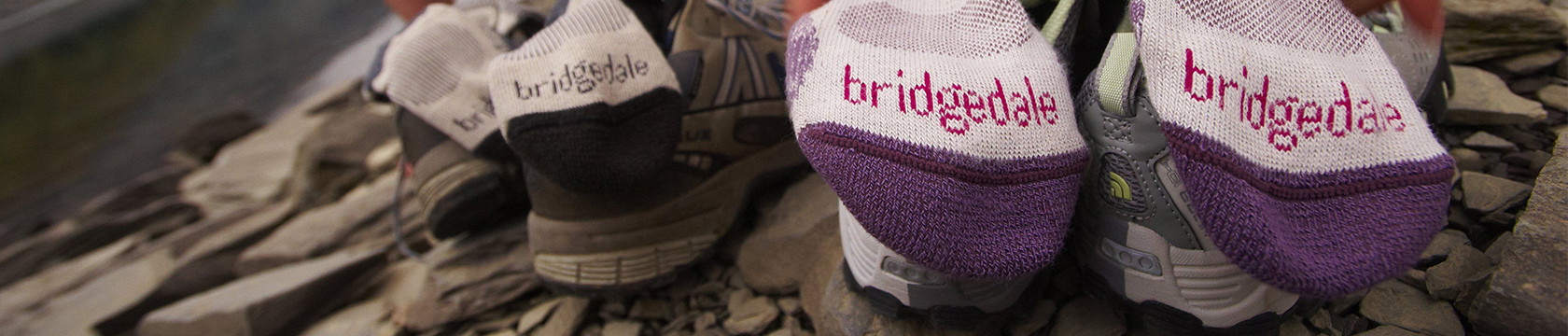 Bridgedale Blog Header