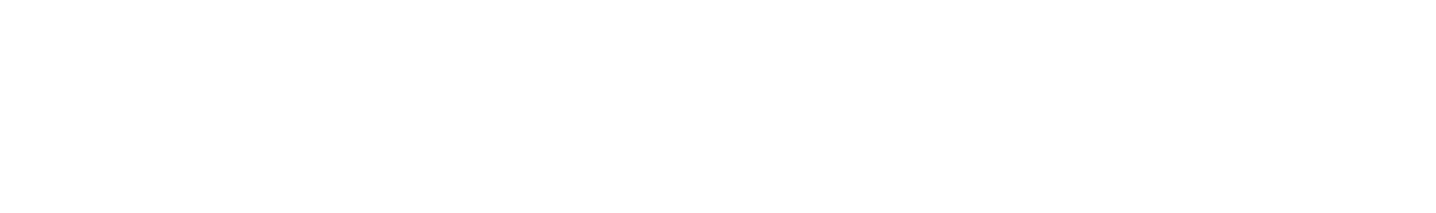 New Hot Summer Collection