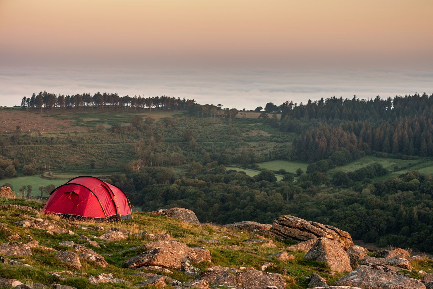 Red tent pitched near woodland